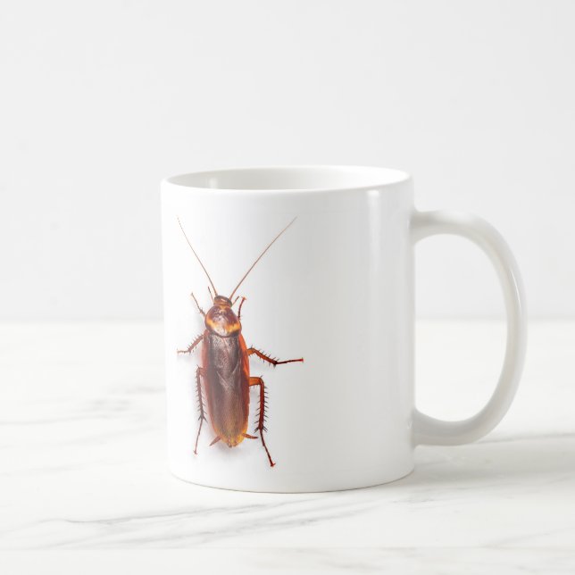 Café taza divertida de la cucaracha (Derecha)