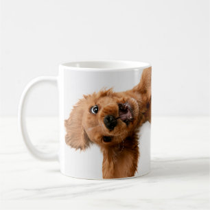 Café Taza divertida de Navidad para perros Ha sido un a