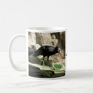 Café Taza emplumada negro del pájaro de Waldrapp Ibis
