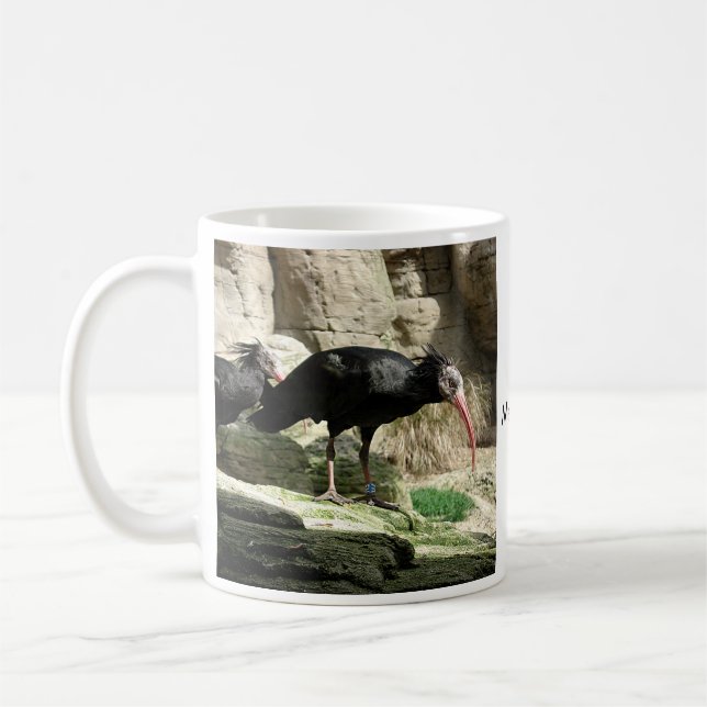 Café Taza emplumada negro del pájaro de Waldrapp Ibis (Izquierda)