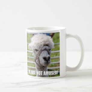 Café Taza enfadada de la alpaca