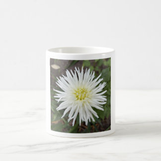 Café Taza floral de dalia de cactus blanco