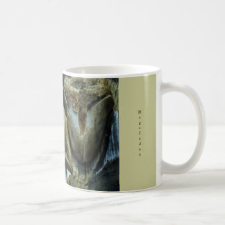 Café Taza fósil de los dientes del tiburón de Megalodon