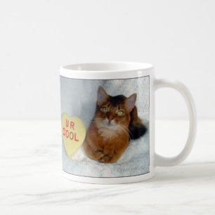 Café Taza fresca somalí del gato U R de la chispa
