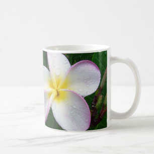 Café Taza hawaiana blanca y púrpura amarilla de la flo