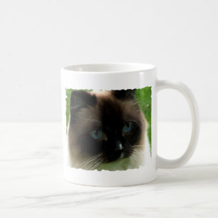 Café Taza hermosa del gato de Ragdoll