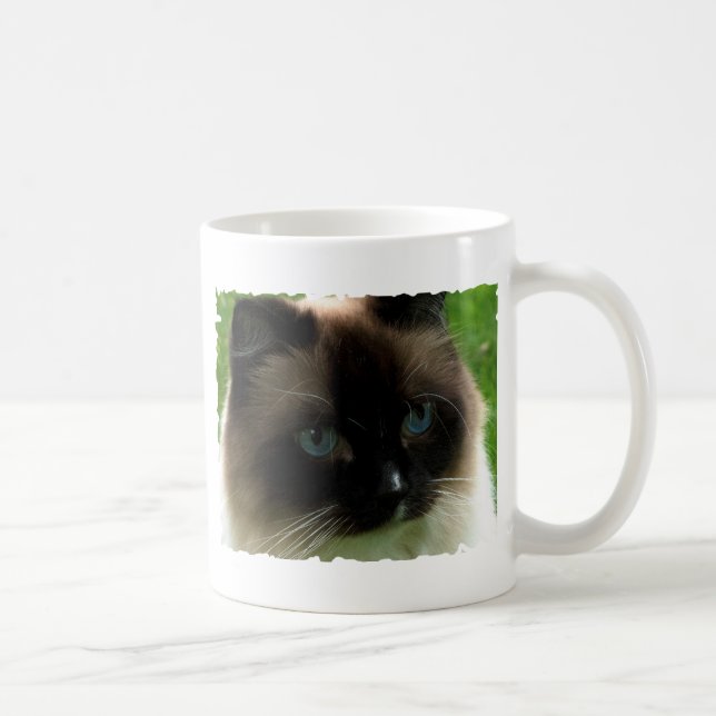 Café Taza hermosa del gato de Ragdoll (Derecha)