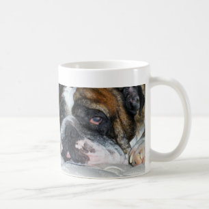 Café Taza inglesa soñolienta del bulldog de Sassydog