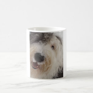 Café Taza inglesa vieja del perro pastor - cara de la
