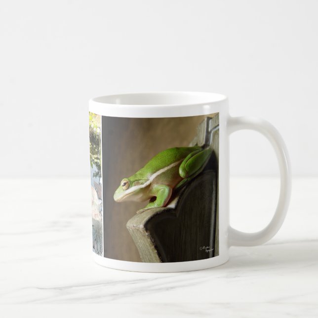 Café Taza linda de las ranas arbóreas (Derecha)