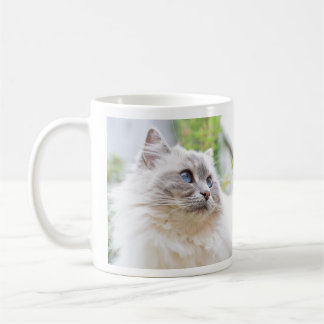 Café Taza linda del gato de Ragdoll