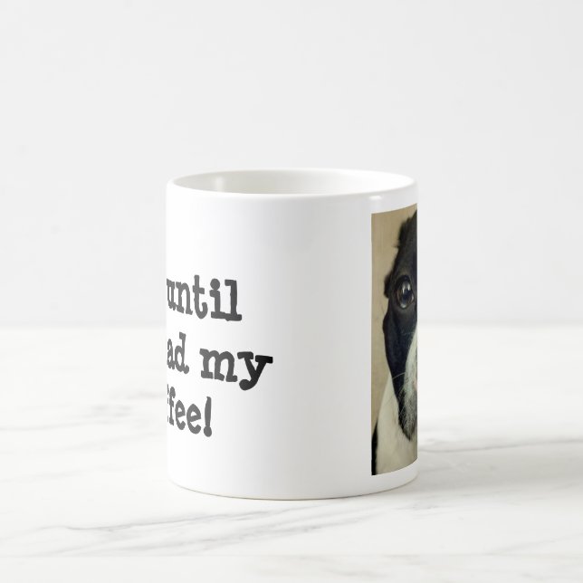 Café Taza malhumorada de Boston Terrier (Centro)