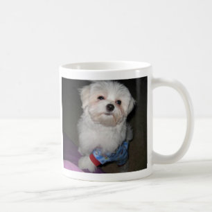Café Taza maltesa de la sol de la buena mañana