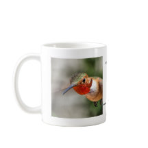 Taza masculina del colibrí de Allen