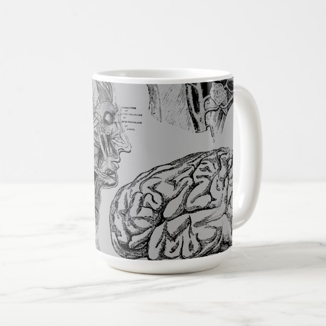 Café Taza Médica de Anatomía (Anverso derecho)