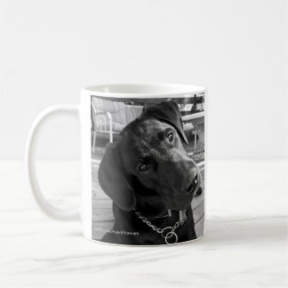 Café Taza negra de Labrador