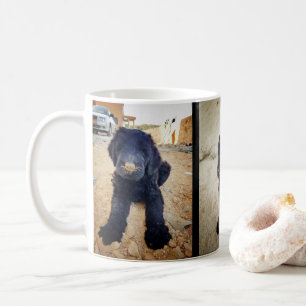 Café Taza negra de Terrier del ruso