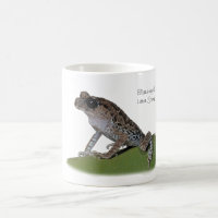 taza Negro-observada de la rana de la litera
