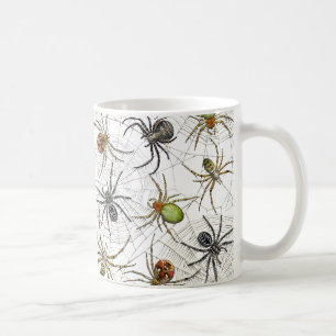 Café Taza neta de las arañas