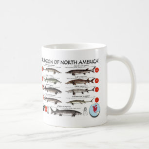 Café Taza norteamericana de RedList del esturión