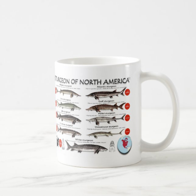 Café Taza norteamericana de RedList del esturión (Derecha)