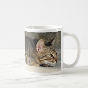 Café Taza pensativa adorable del gato de Tabby