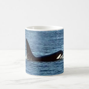 Café Taza personalizable de orca de Aquarius West Coast