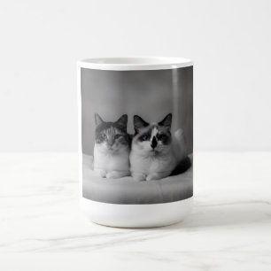 Café Taza Personalizada para Mascotas – Foto de Gato de
