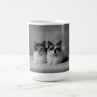 Café Taza Personalizada para Mascotas – Foto de Gato de