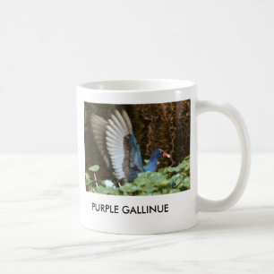 CAFÉ TAZA PÚRPURA DE GALLINULE