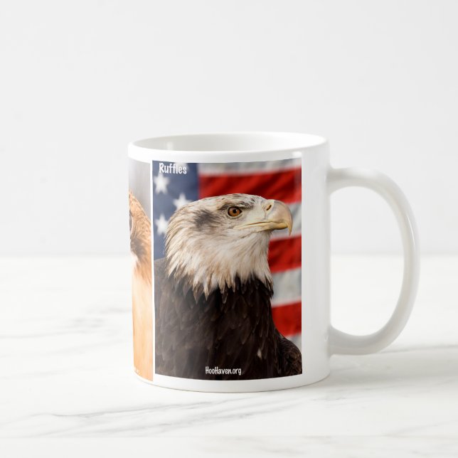 Café Taza que ofrece rapaces del asilo de Hoo (Derecha)