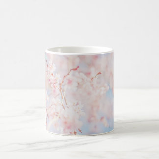 Café TAZA - rama de Sakura