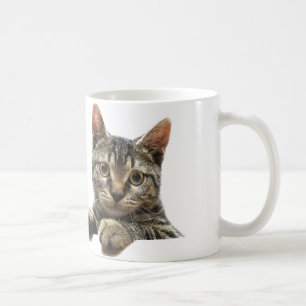 Café Taza rayada gris del gato de Tabby