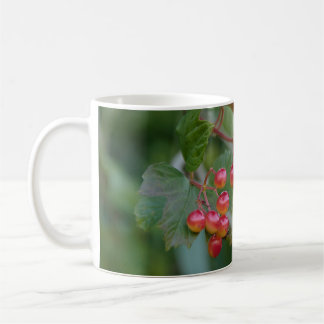 Café Taza roja de la baya para una bebida caliente en