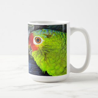 Café Taza roja del loro de Lored el Amazonas