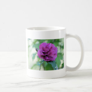 Café Taza Rosa de Sharon