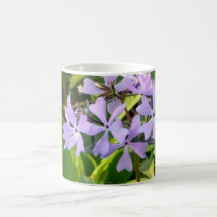 Café Taza salvaje de las violetas