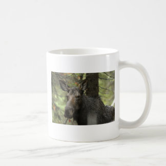 Café Taza selvática de los alces