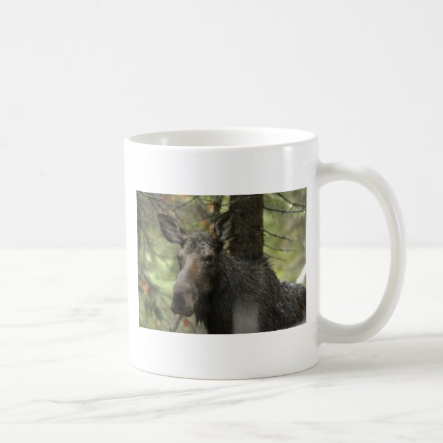 Café Taza selvática de los alces (Derecha)