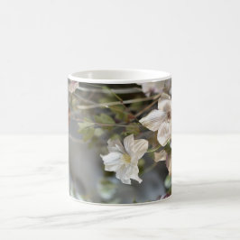 Café Taza sofisticada de flores blancas | Flores pálida