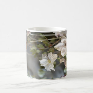 Café Taza sofisticada de flores blancas   Flores pálida