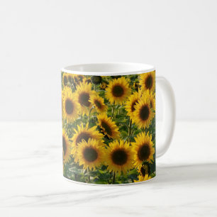 Café Taza soleada del campo de los girasoles