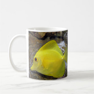Café taza tropical de los pescados