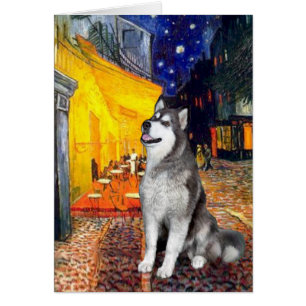 Café Terraza - Alaskan Malamute