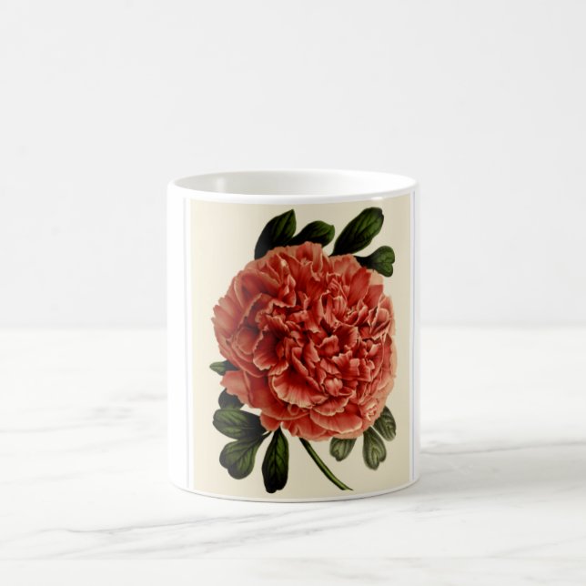 Café Una taza con una hermosa flor de lectura. (Centro)
