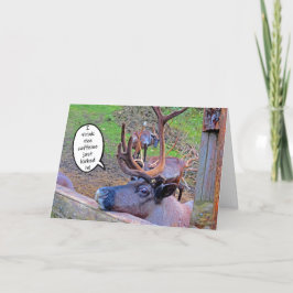 Cafeína de renos pateada en tarjeta