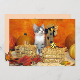 Caída de cerdo/Día de Acción de Gracias - Tarjeta 