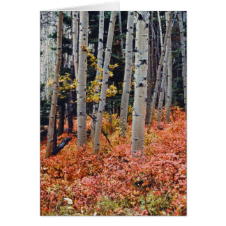 Caída de los ápenes