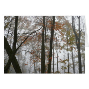Caída de niebla en la naturaleza otoñal de Pensilv