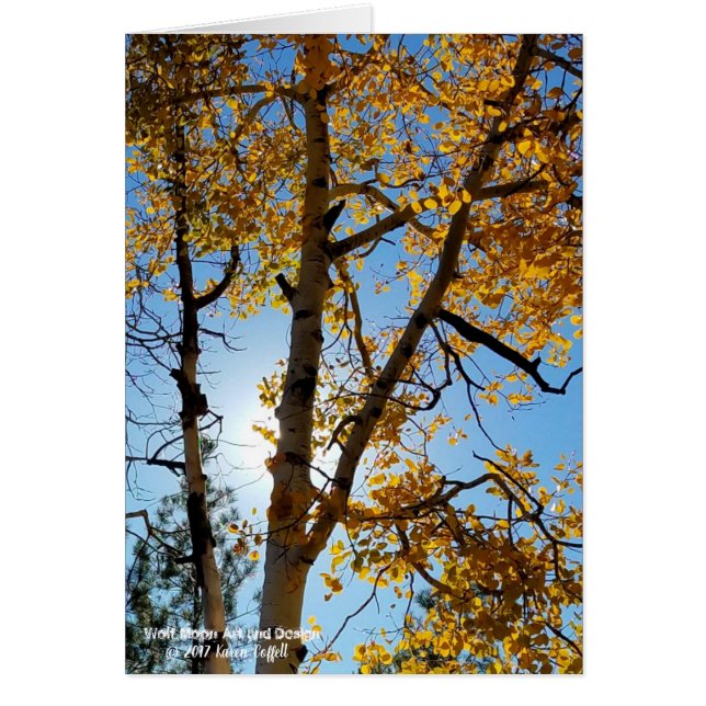 Caída del Árbol Aspen iluminado Azul cielo Arizona (Frente)